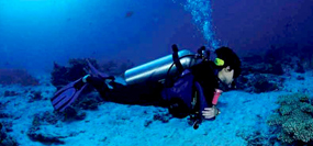 Scuba Diving