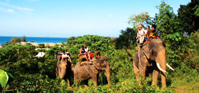 Elephant Trekking